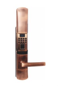 VN-K6020-JPVDD-125x300-1