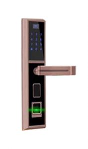 Khóa vân tay VN-K6050